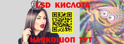 стаф Можга
