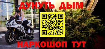 стаф Можга