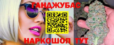 стаф Можга