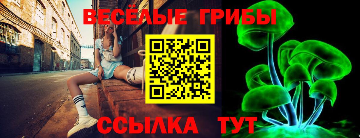 Северобайкальск  Псилоцибиновые грибы мицелий  Вход с VPN 